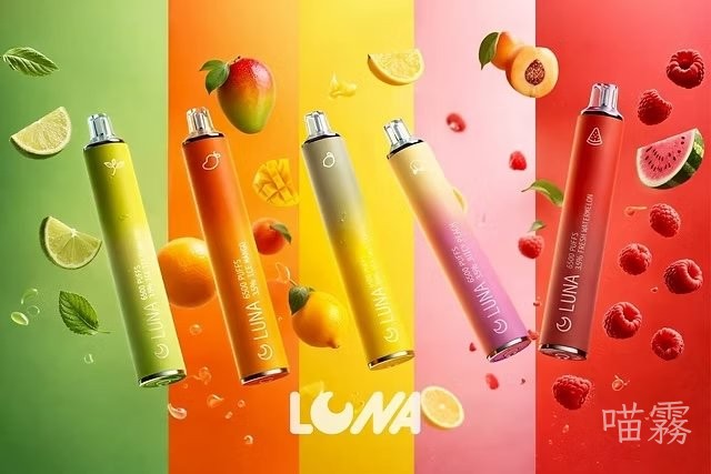 LUNA6500口 2