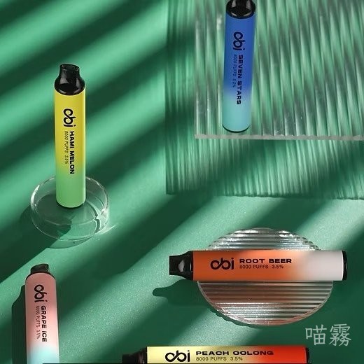 OBI 8000口 2