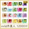 vvild外星人 12000口